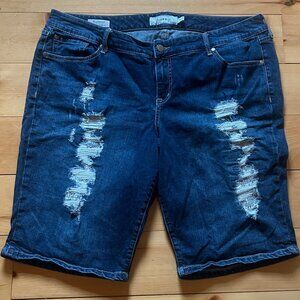 Torrid Boyfriend Distressed Shorts